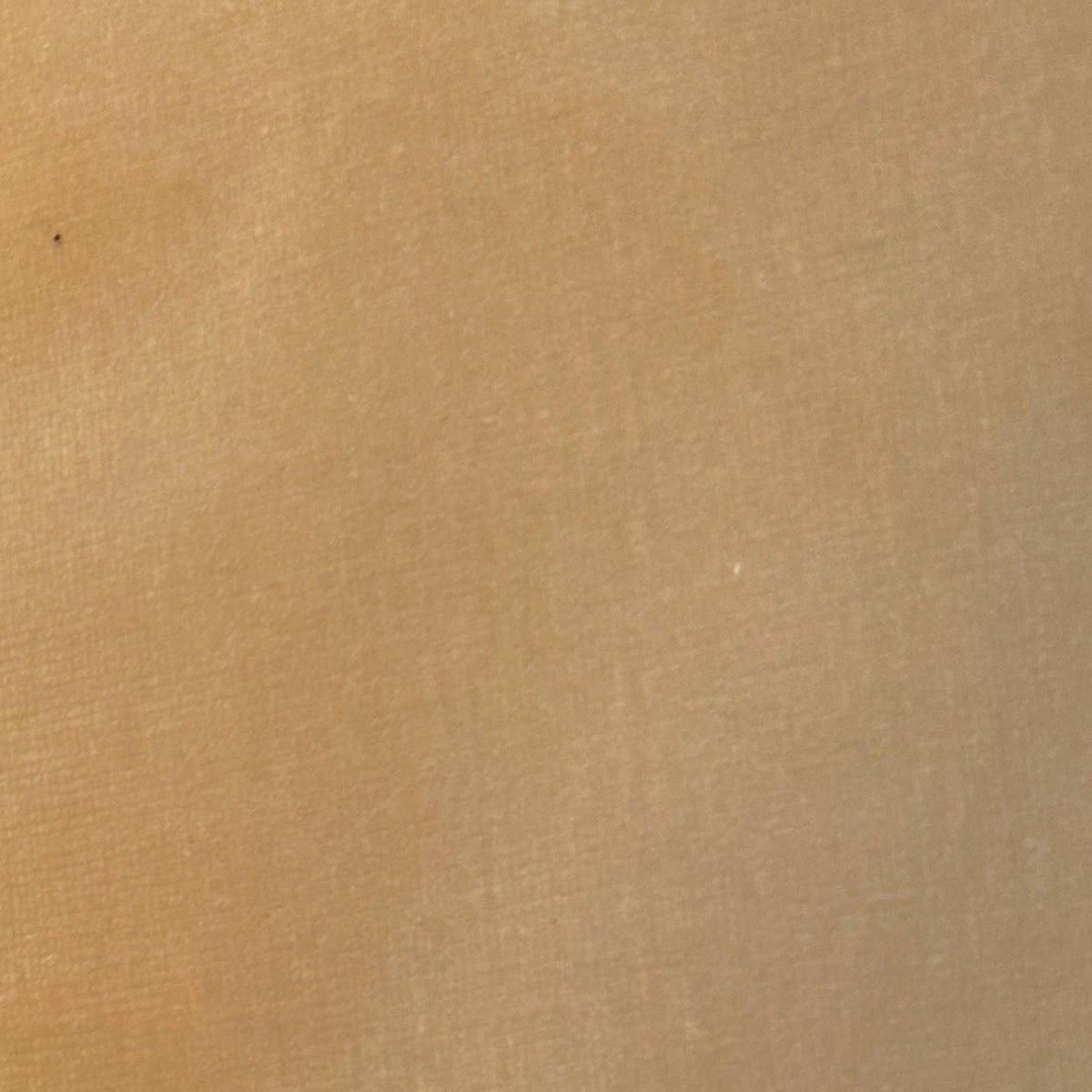 Solid beige velvet upholstery fabric with a soft, smooth pile and subtle tonal texture