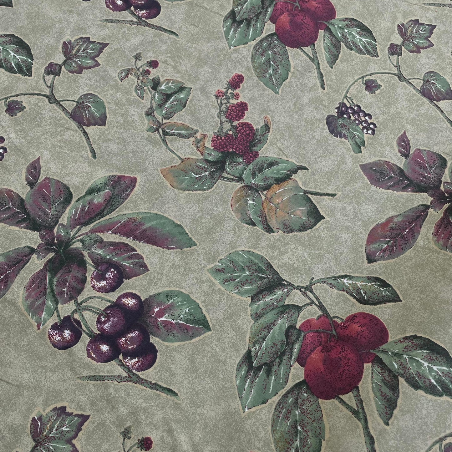 Cotton, Berry Specimens