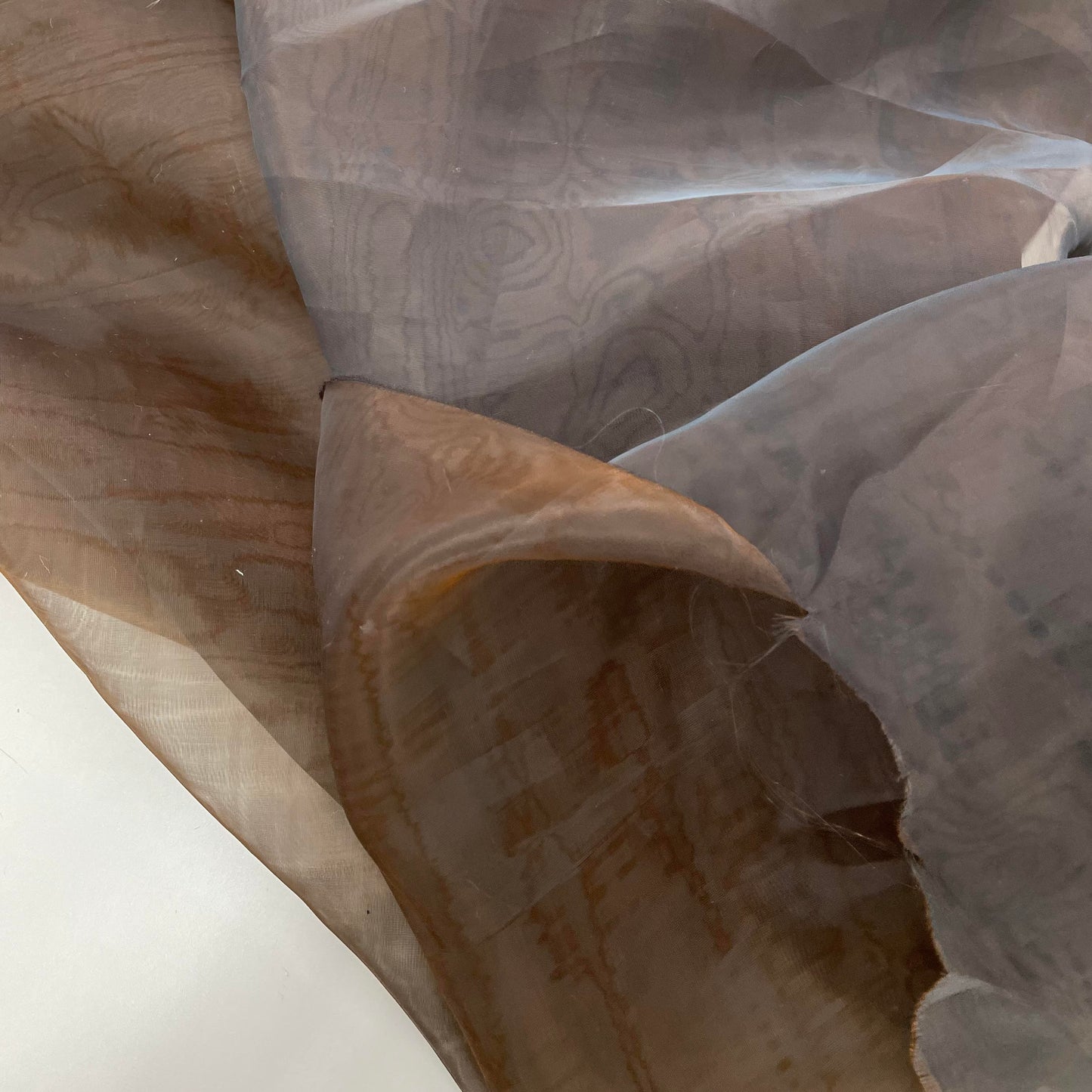 Organza