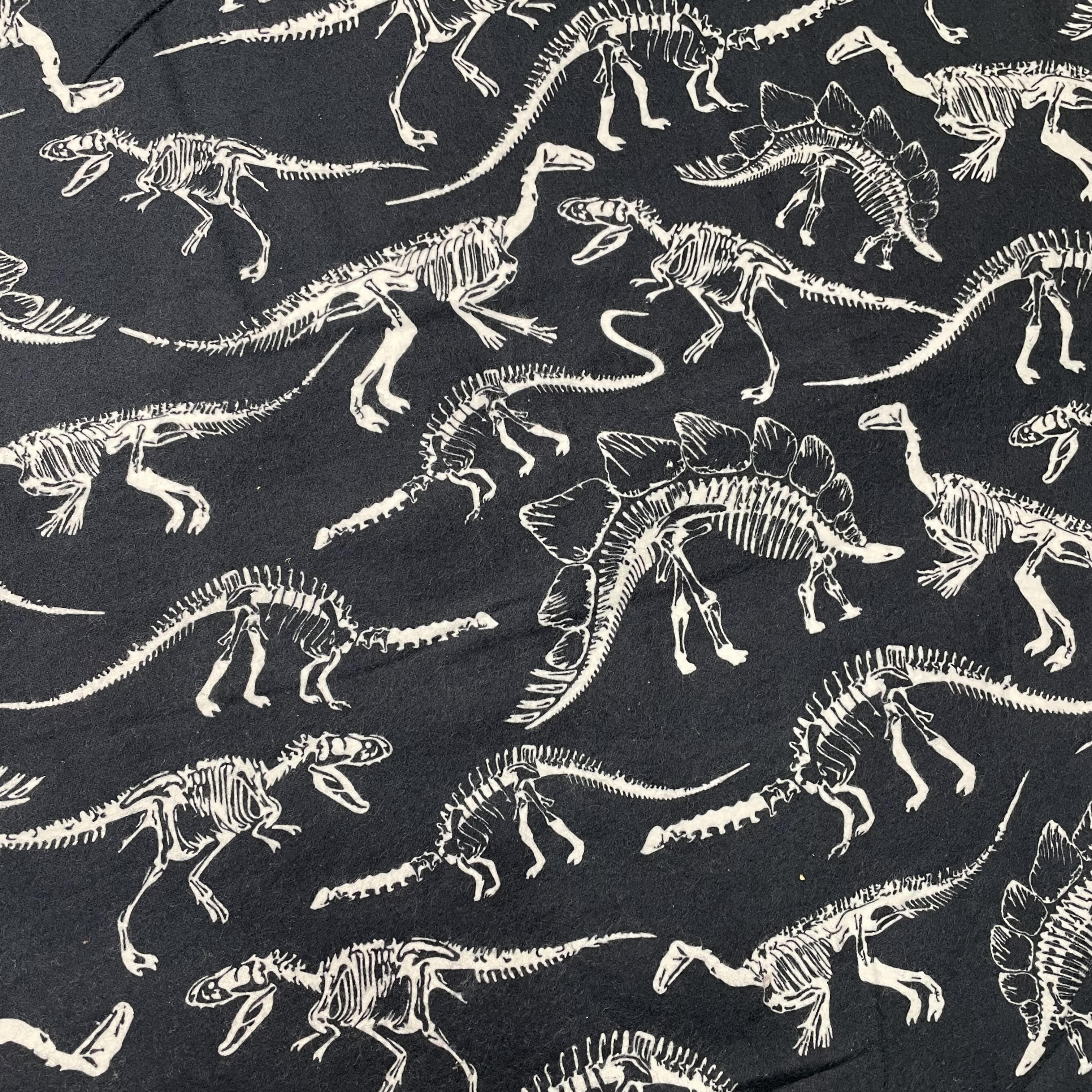 Flannel, Dinosaur Skeletons