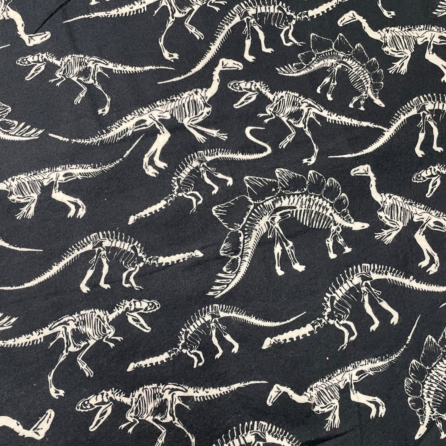 Flannel, Dinosaur Skeletons
