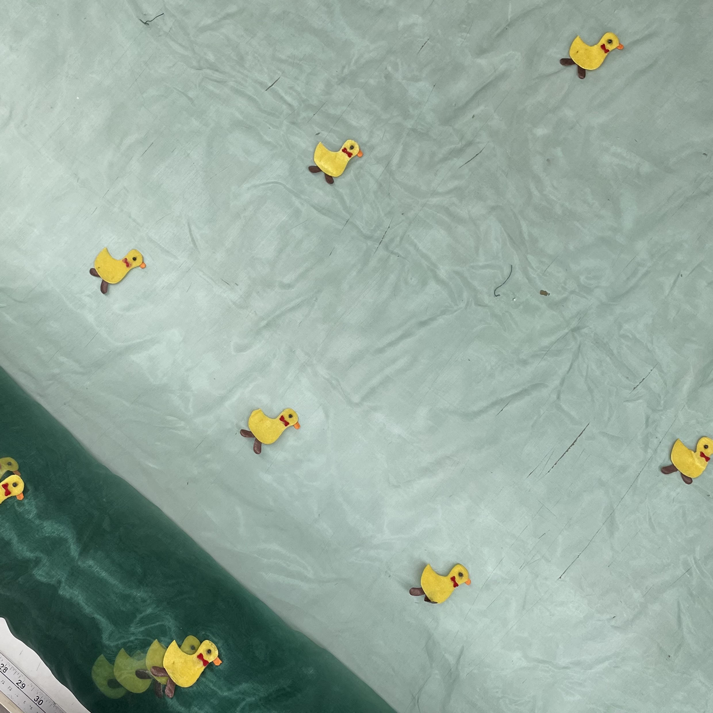 Organza Ducks
