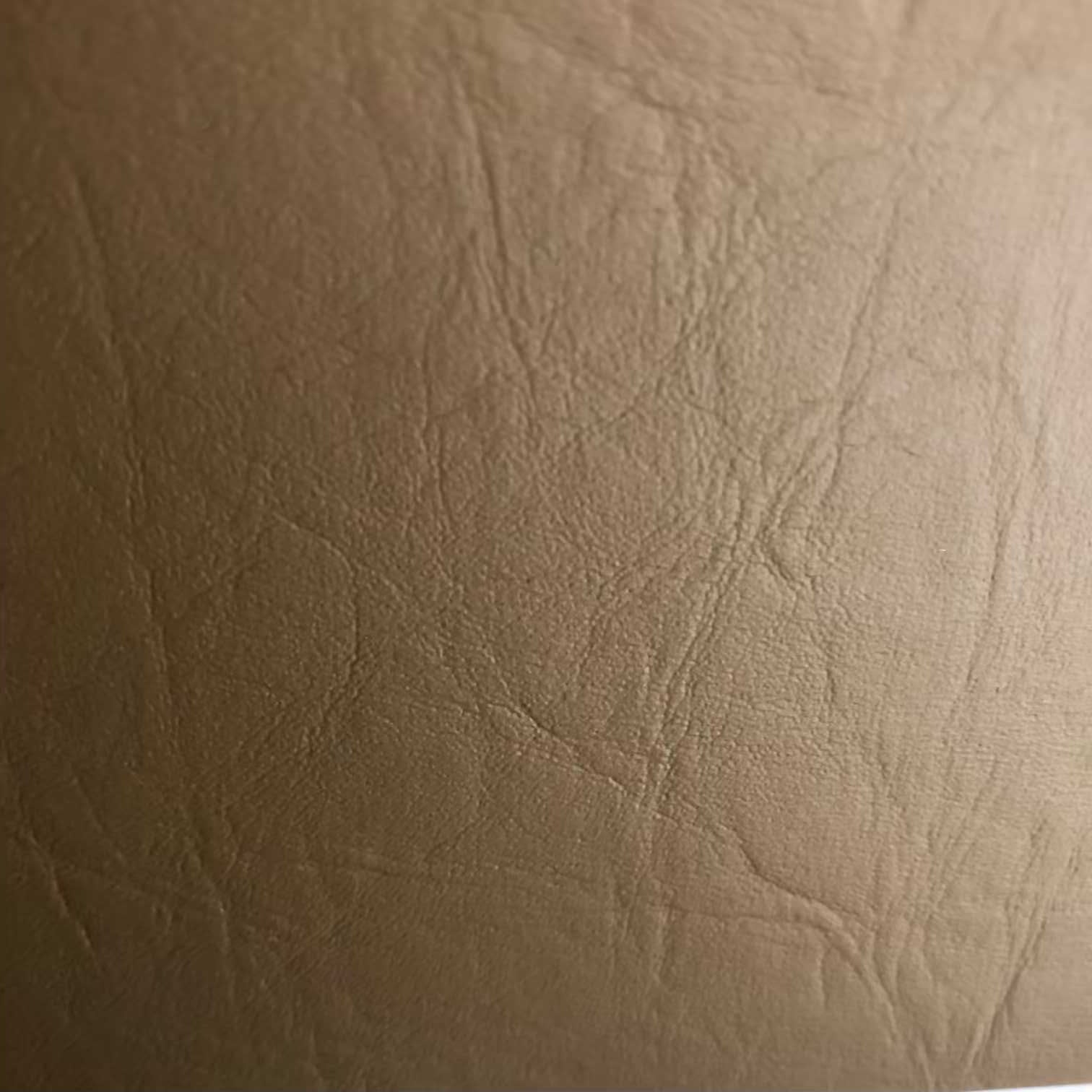 Daytona Vinyl Solid Sandstone