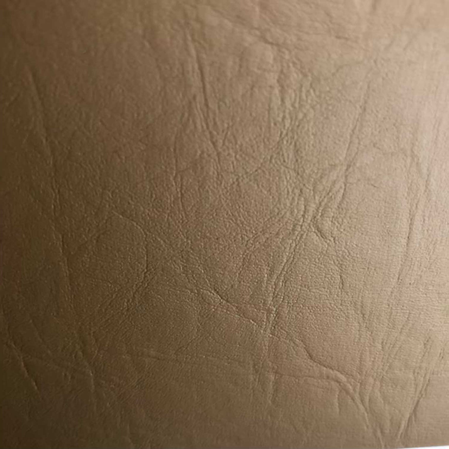 Daytona Vinyl Solid Sandstone