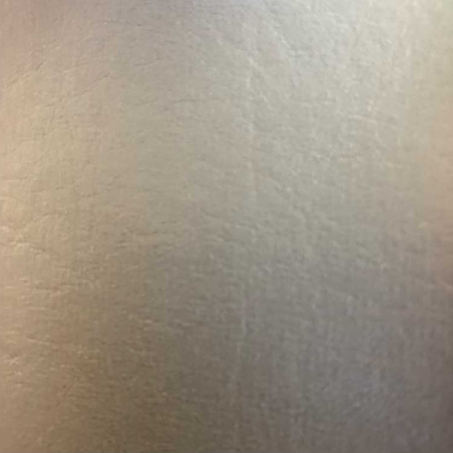 Daytona Vinyl Silver