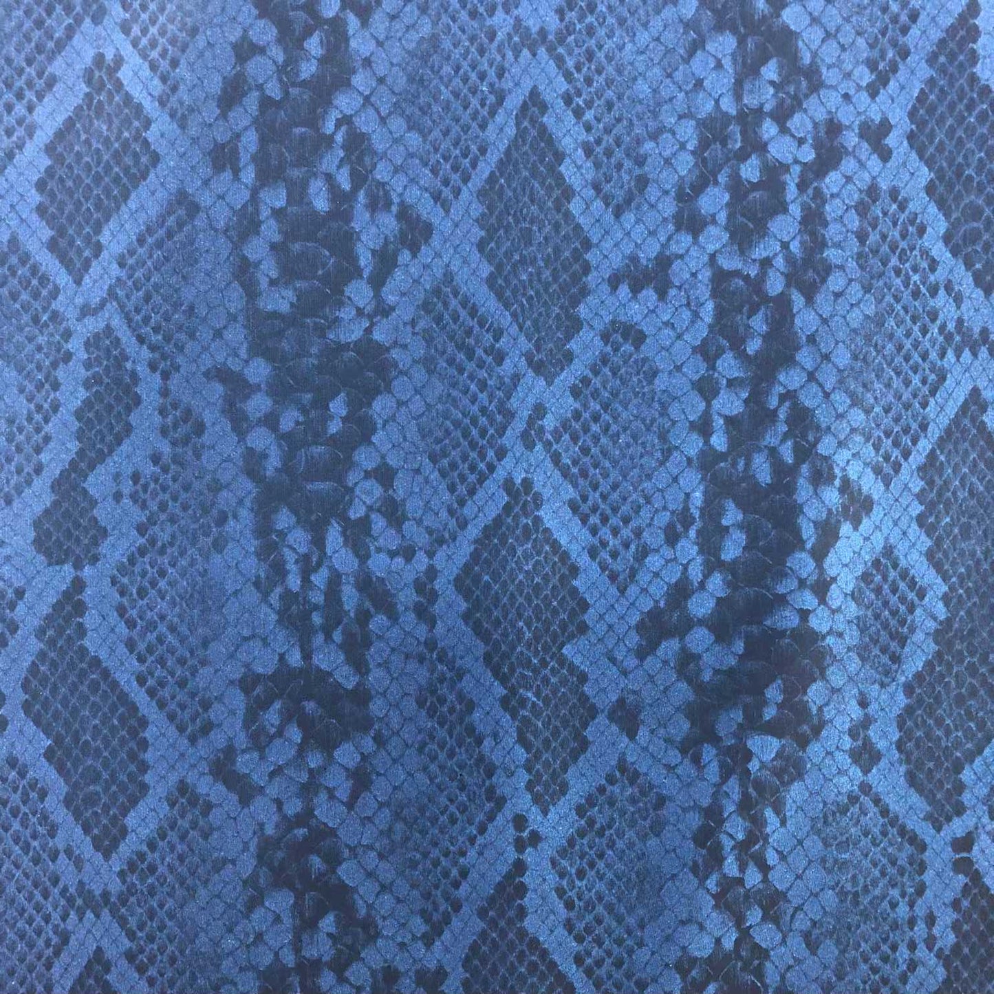Vinyl Snake Print