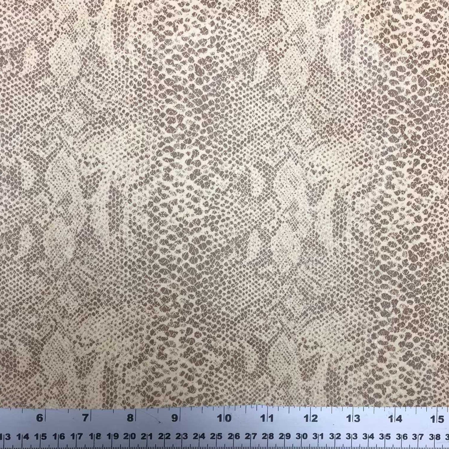 Vinyl Snake Print