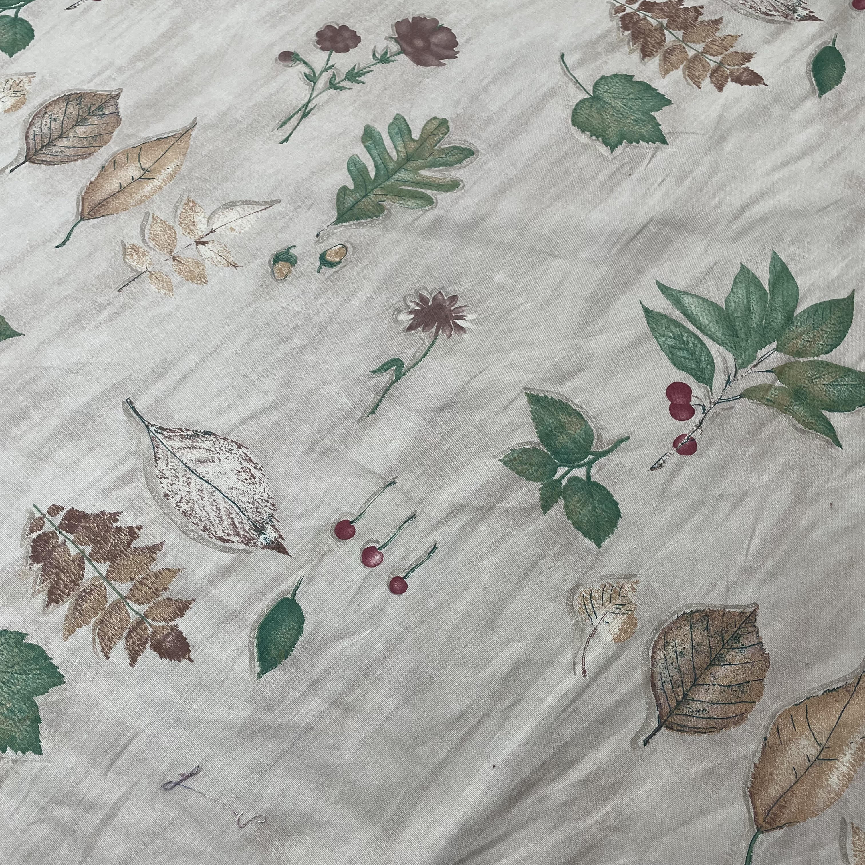 Cotton, Leaf Specimens