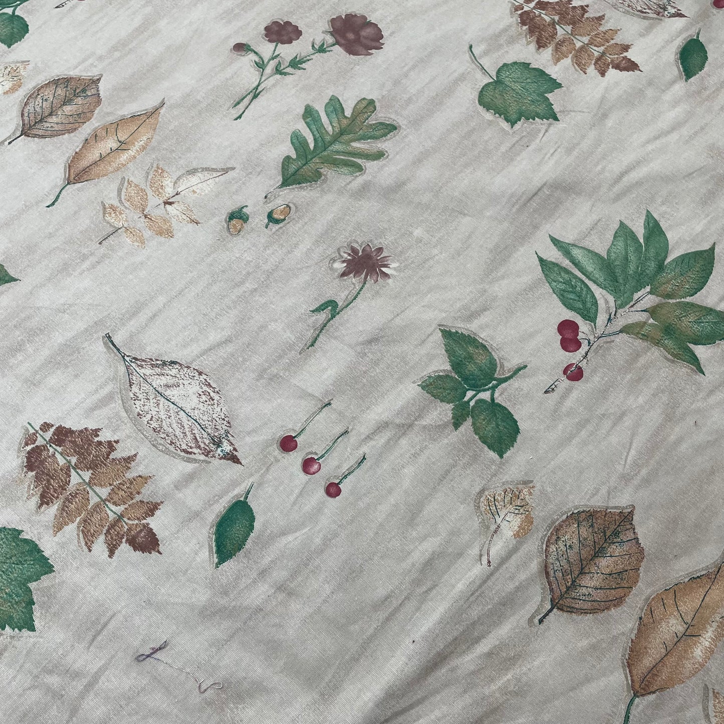 Cotton, Leaf Specimens
