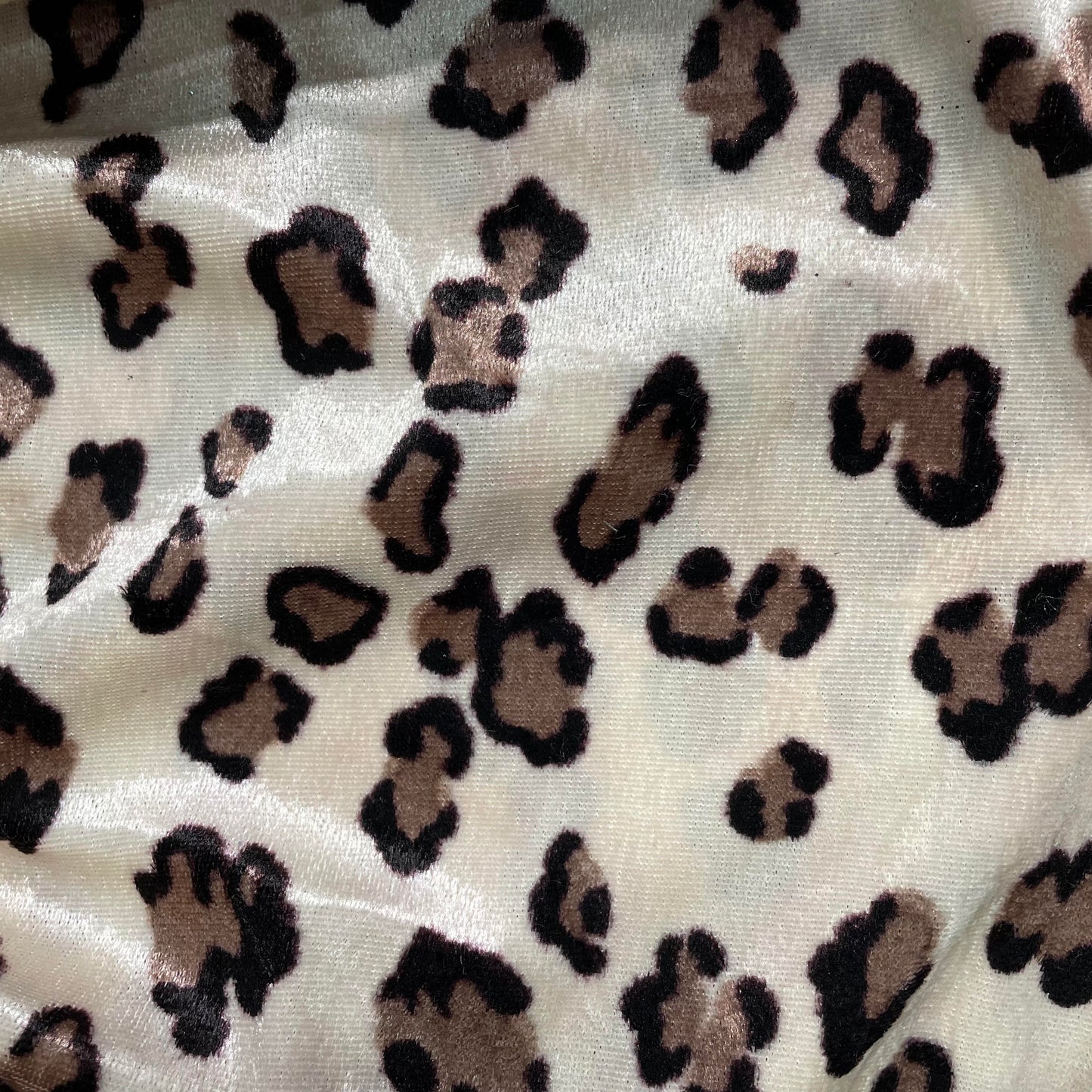 Cheetah print velveteen