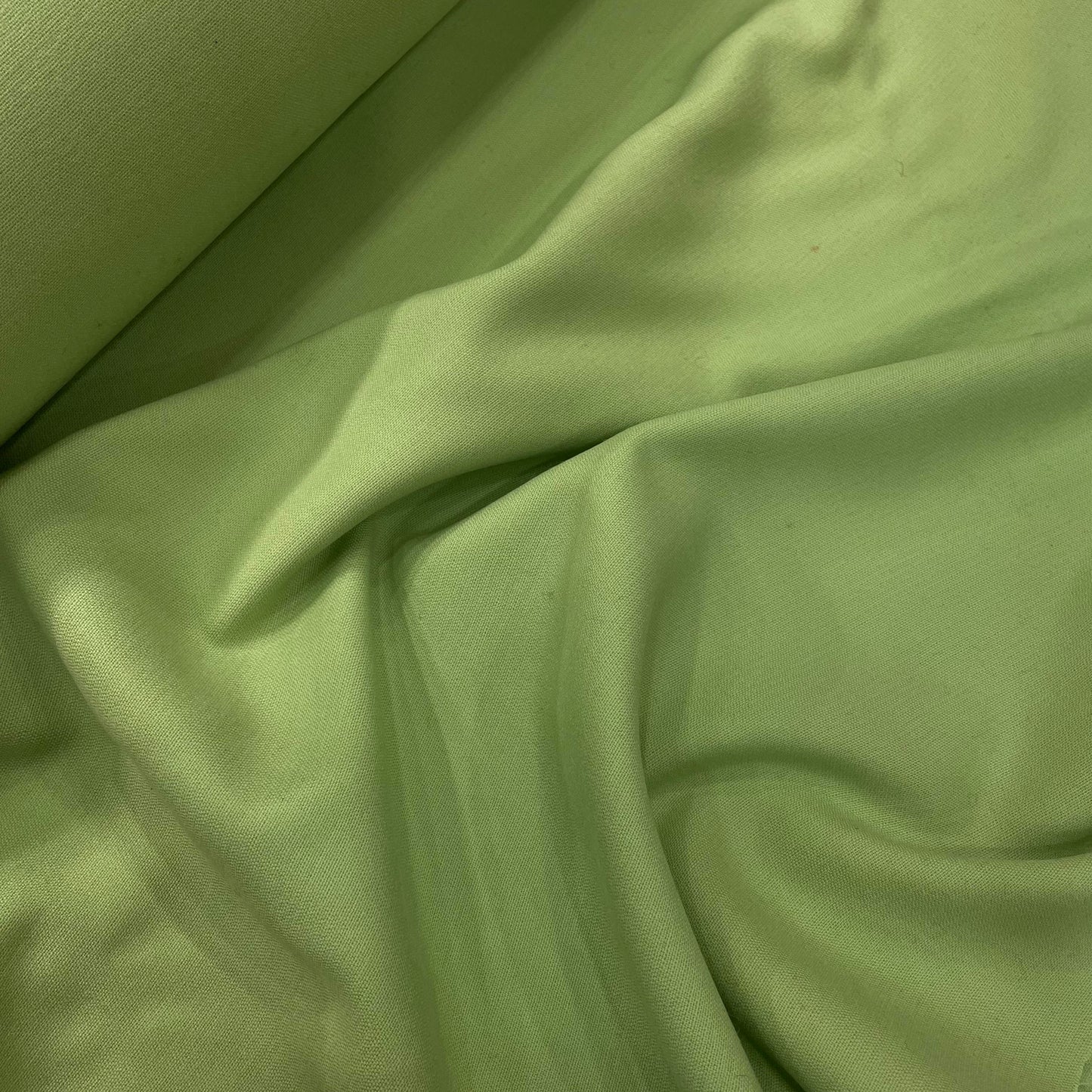 Wool Mint