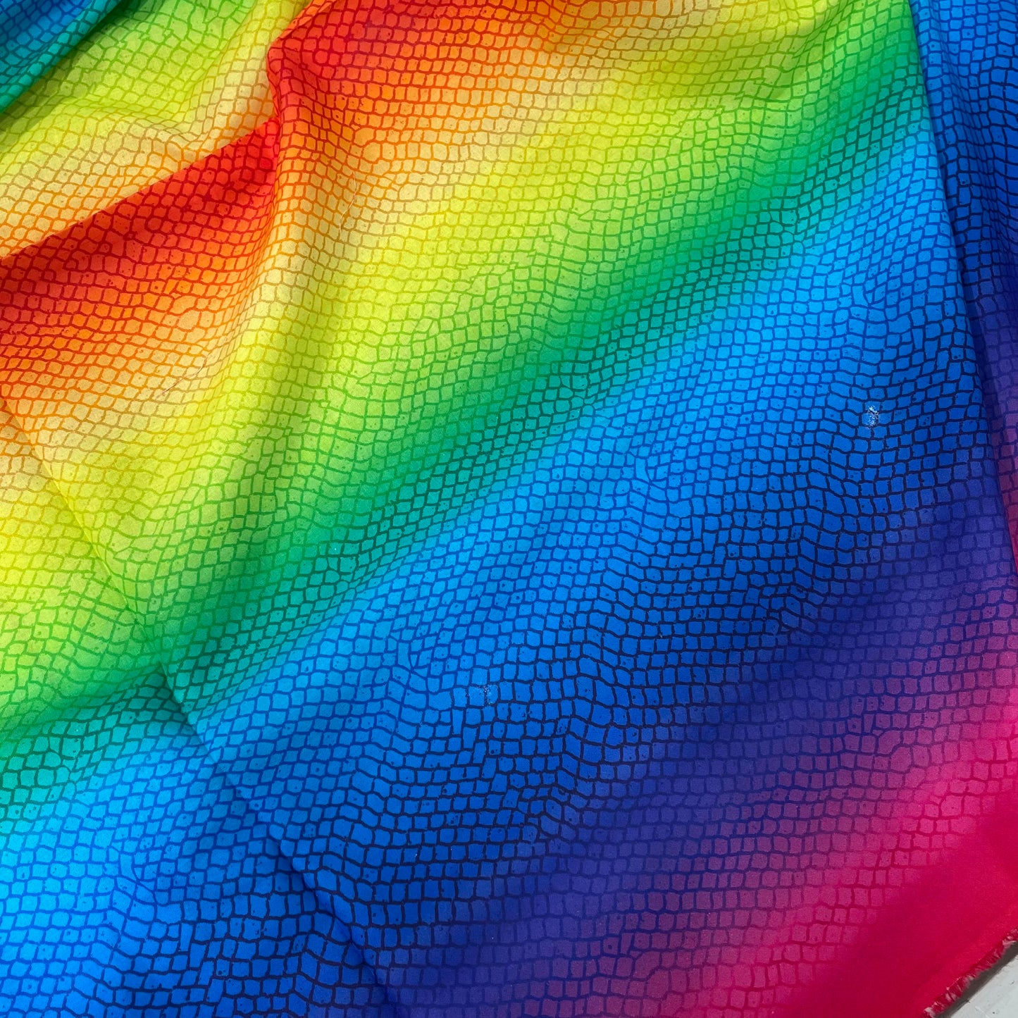 Rainbow Scales