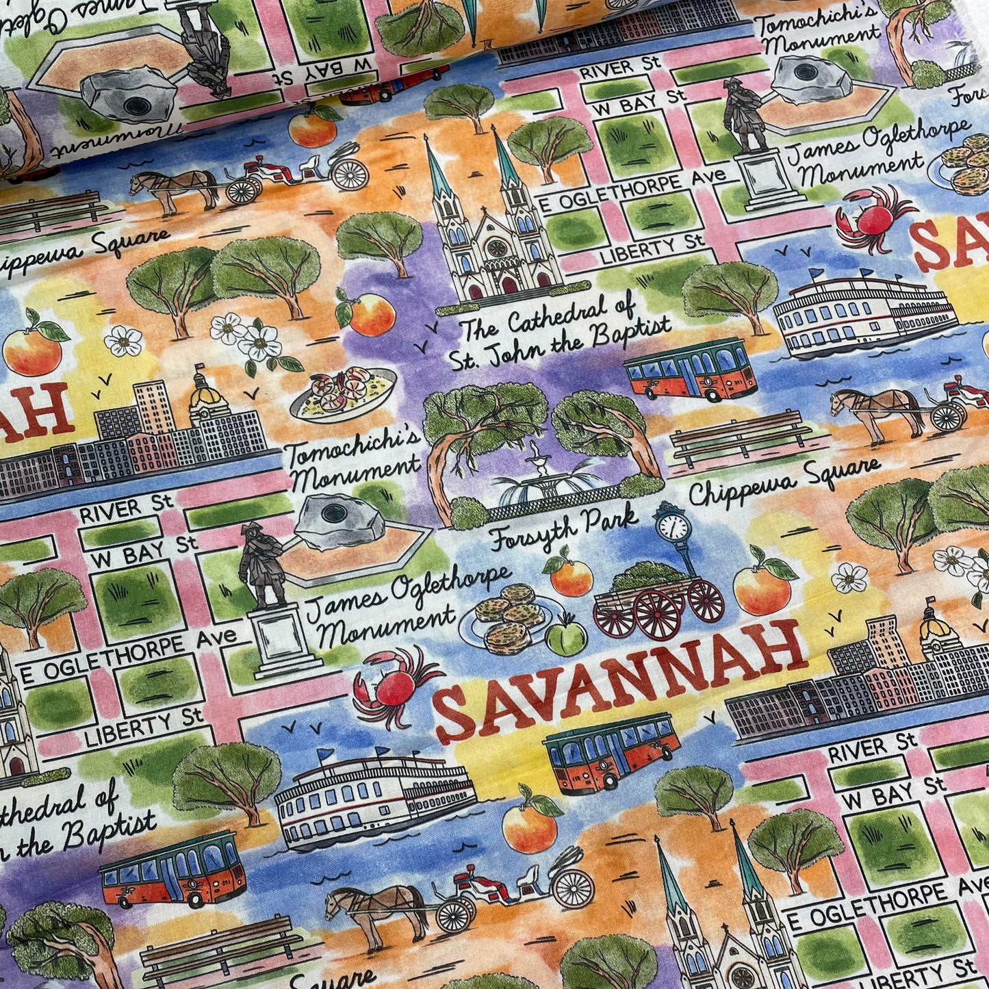 Savannah Sights