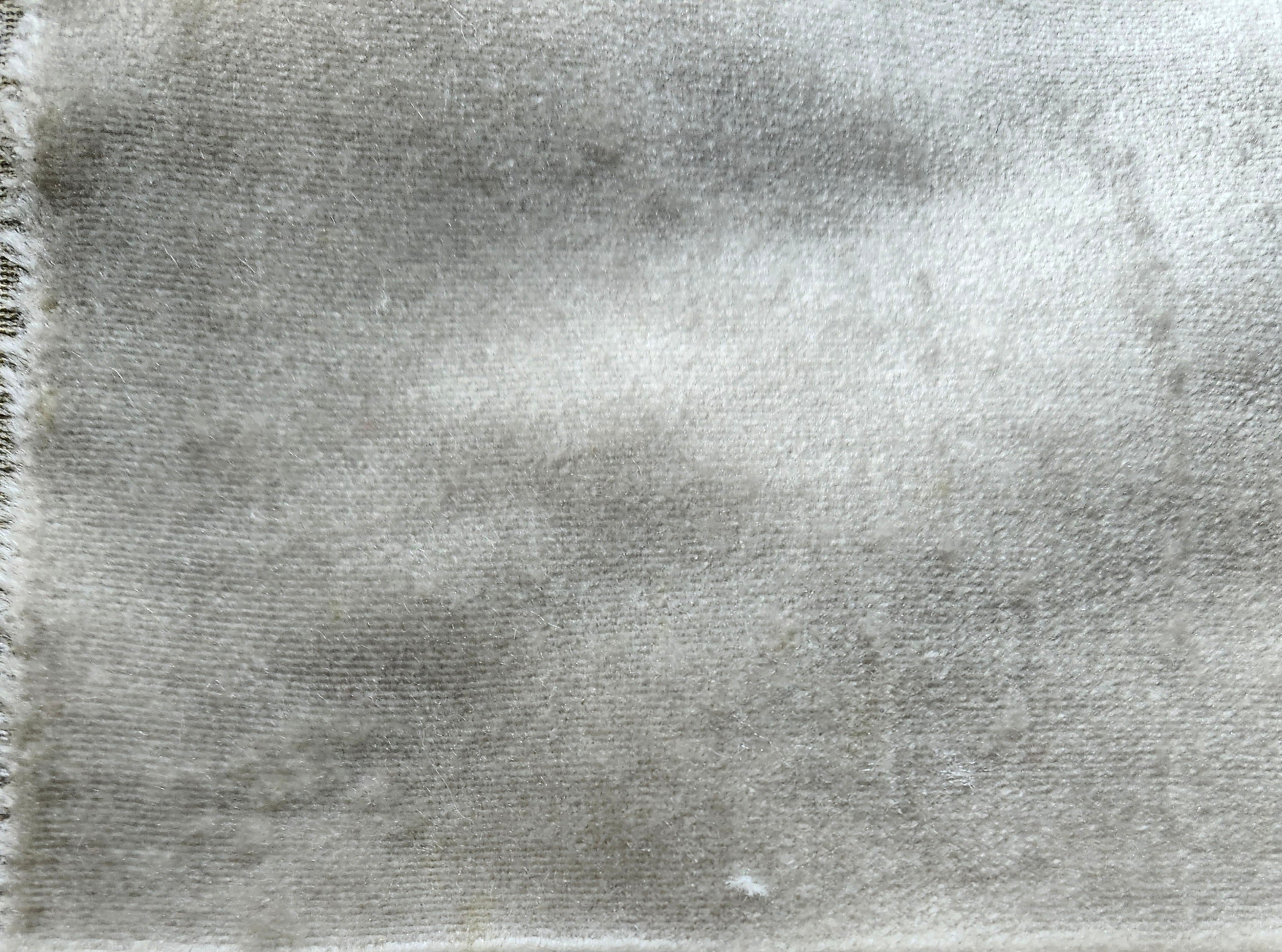 Silk Velvet