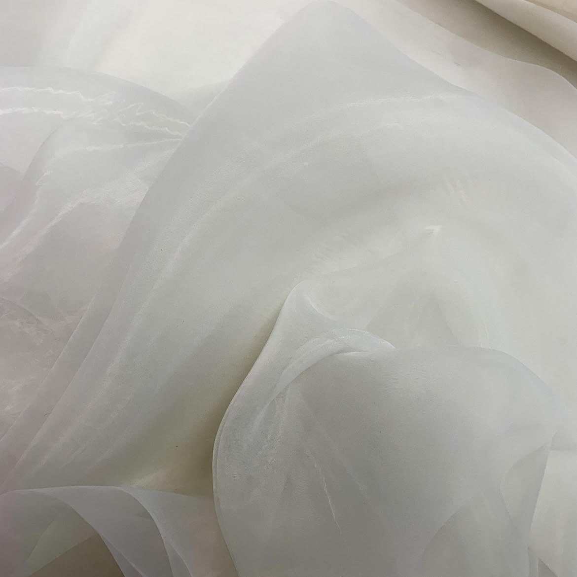 Organza Swan