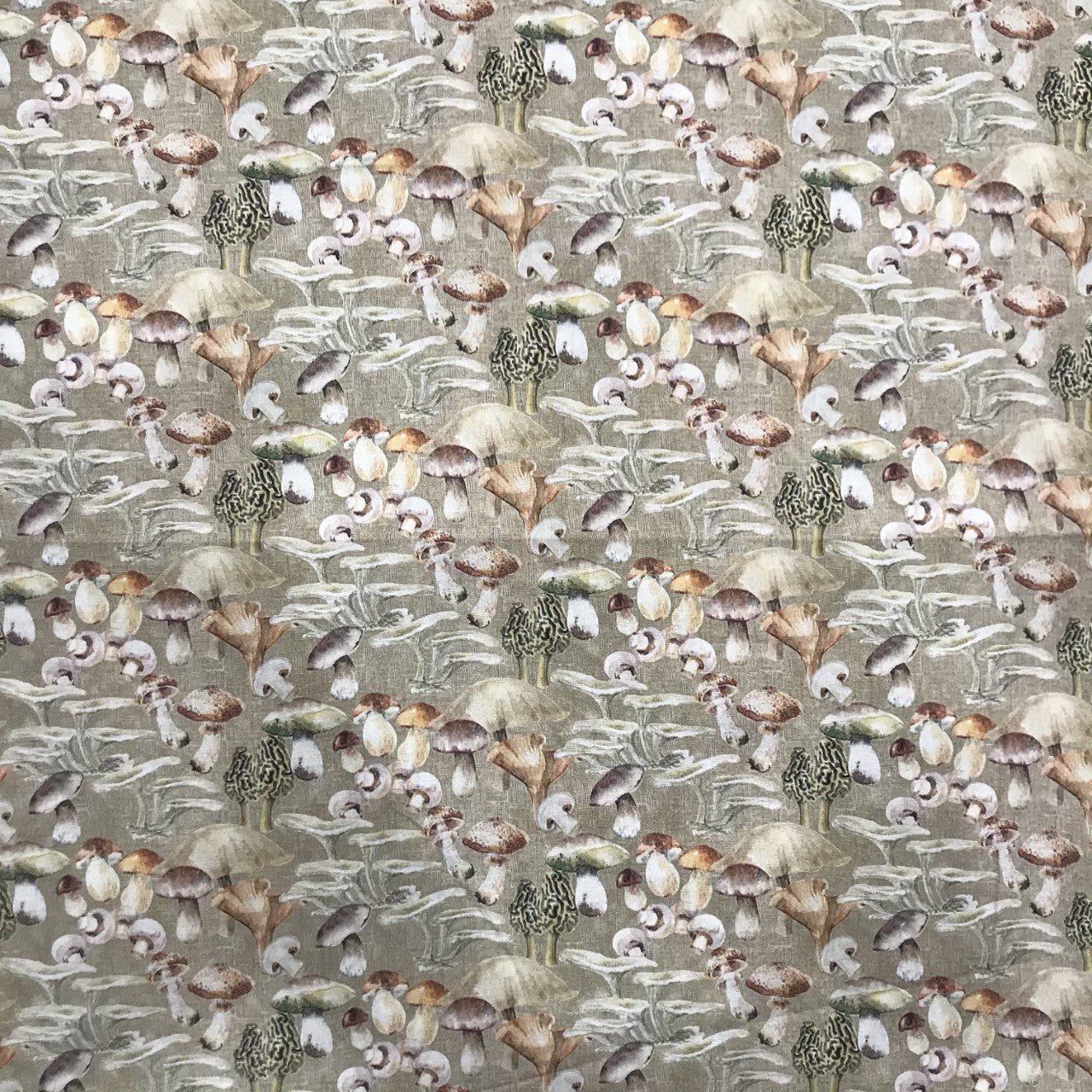 Cotton Mushroom