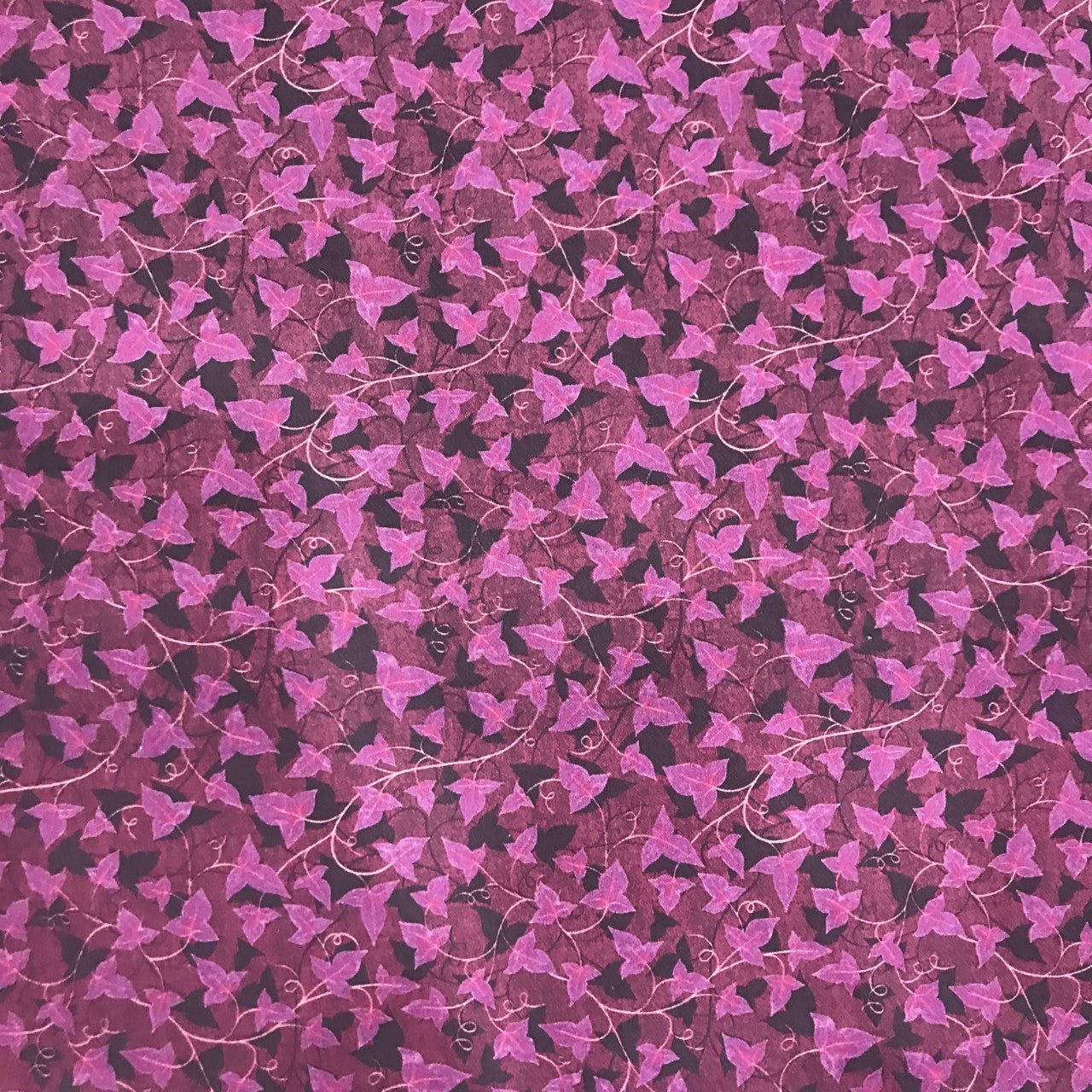 Cotton Leaves