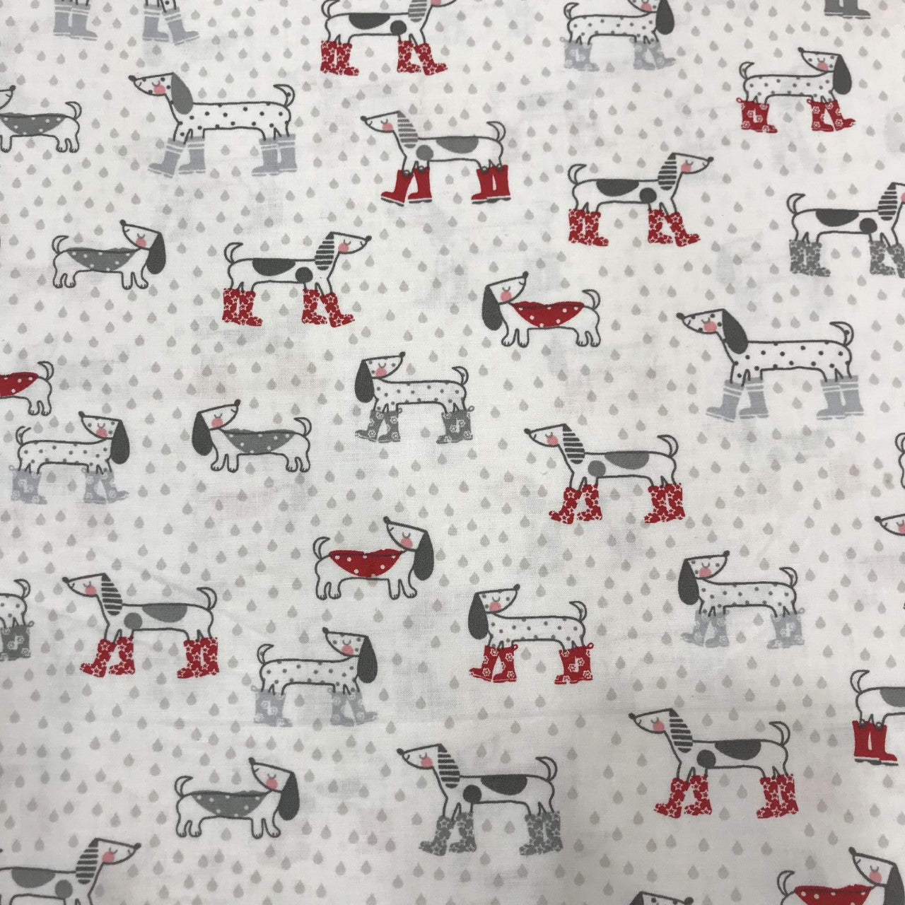 Cotton Dogs