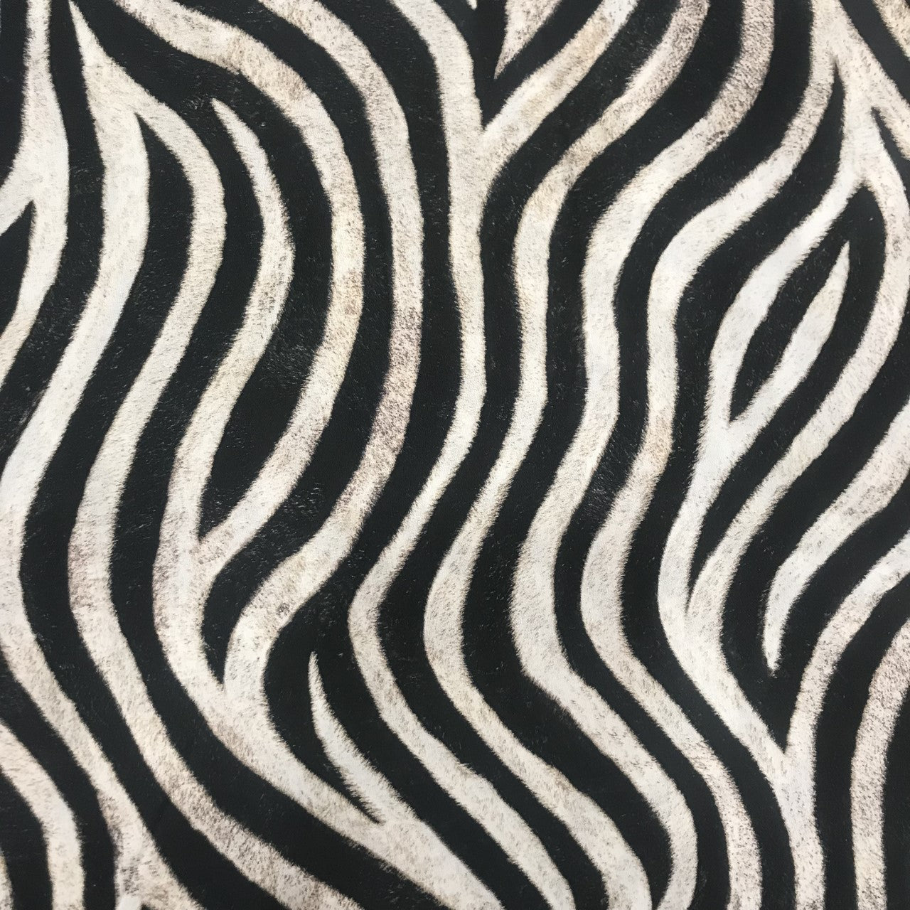Cotton Zebra