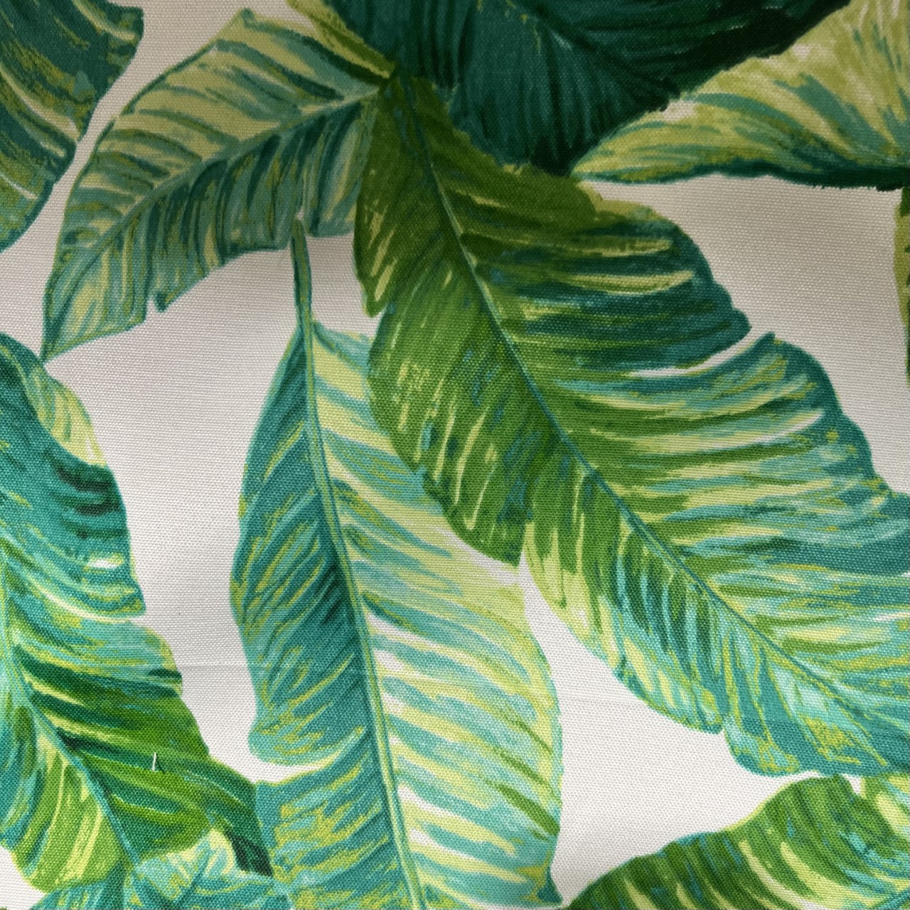 Outdoor Leaves