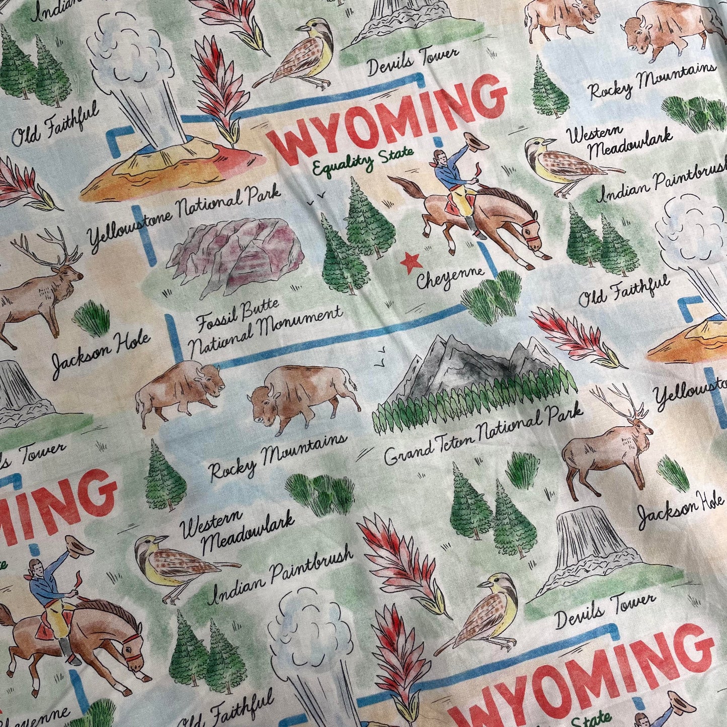 Wyoming Sights